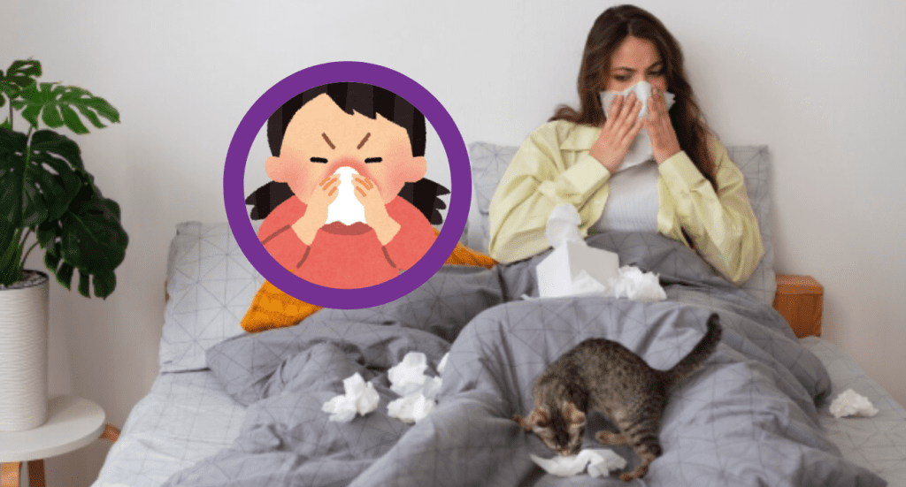 Alergia mascotas. Fotos Pexels y Canva.