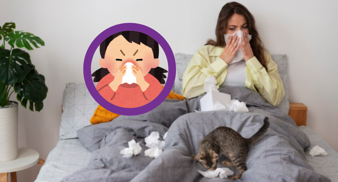 Alergia mascotas. Fotos Pexels y Canva.